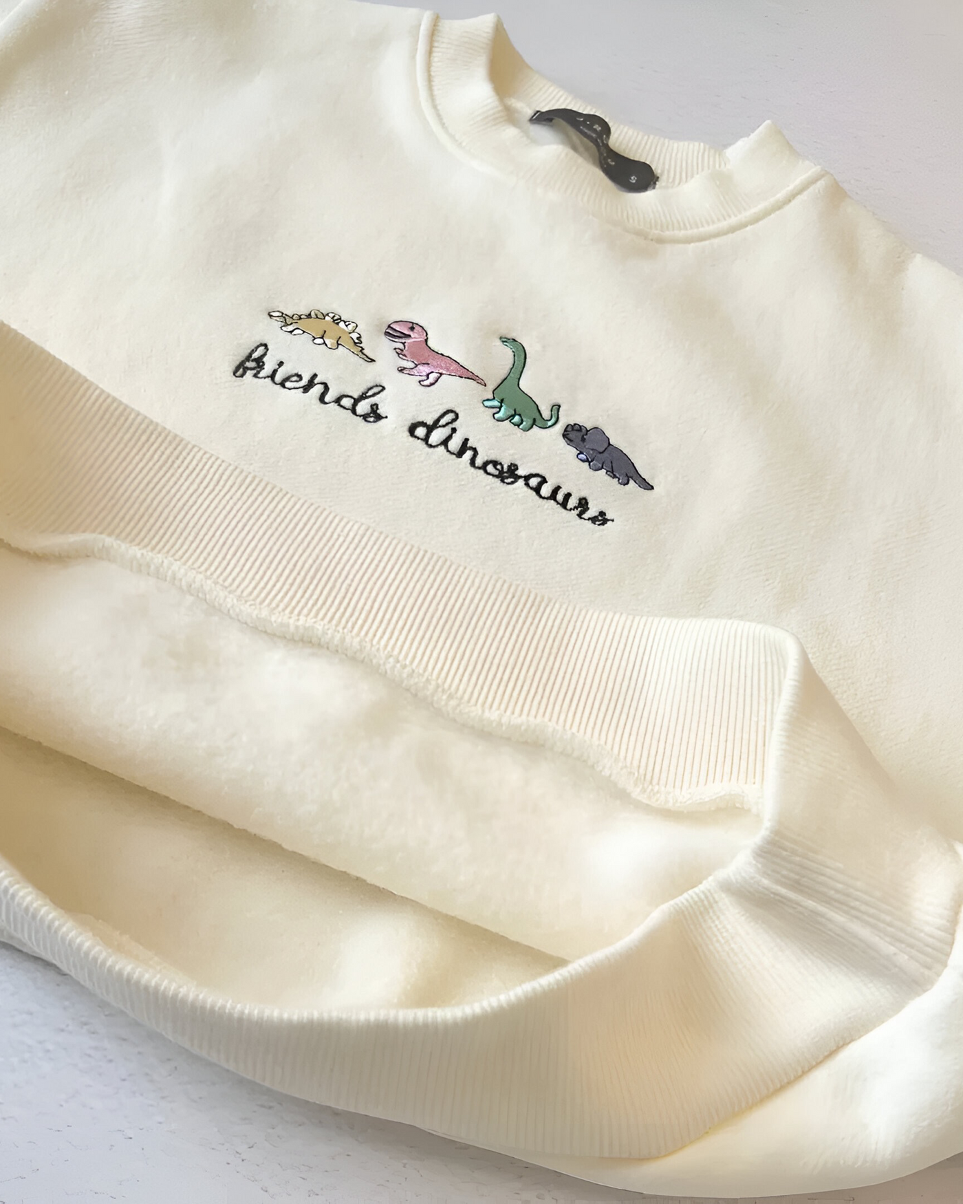 Dino Embroidery Sweatshirt
